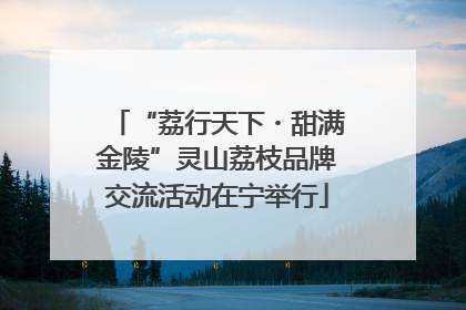 “荔行天下・甜满金陵”灵山荔枝品牌交流活动在宁举行