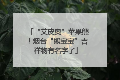 “艾皮奥”苹果熊！烟台“熊宝宝”吉祥物有名字了