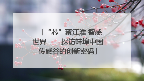 “芯”聚江淮 智感世界——探访蚌埠中国传感谷的创新密码