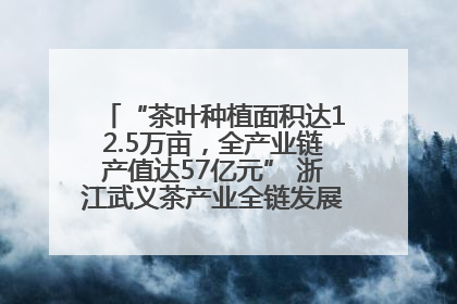 “茶叶种植面积达12.5万亩，全产业链产值达57亿元” 浙江武义茶产业全链发展“加速度”
