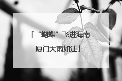 “蝴蝶”飞进海南 厦门大雨如注