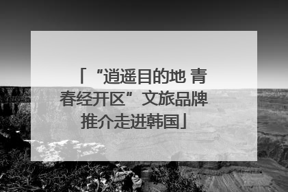“逍遥目的地 青春经开区”文旅品牌推介走进韩国