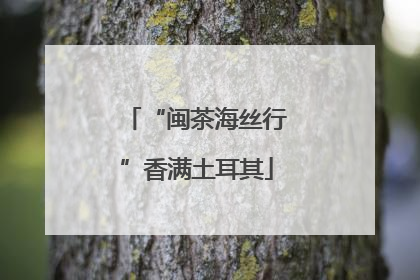 “闽茶海丝行”香满土耳其