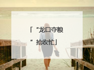 “龙口夺粮”抢收忙