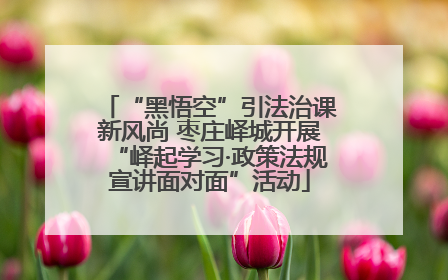 “黑悟空”引法治课新风尚 枣庄峄城开展“峄起学习·政策法规宣讲面对面”活动