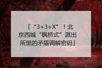 “3+3+X”！北京西城“枫桥式”派出所里的矛盾调解密码
