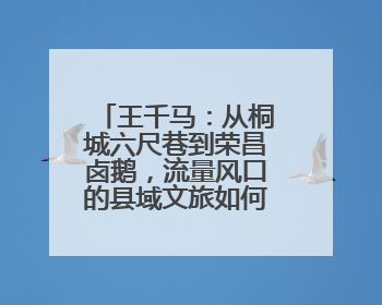 王千马：从桐城六尺巷到荣昌卤鹅，流量风口的县域文旅如何突围