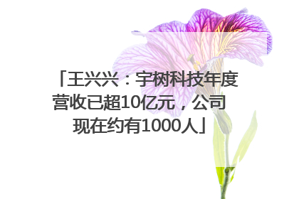 王兴兴：宇树科技年度营收已超10亿元，公司现在约有1000人