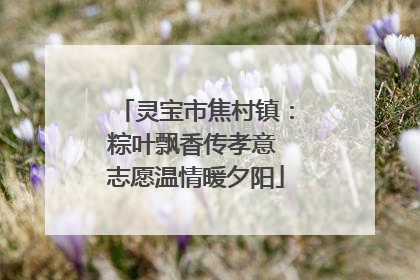 灵宝市焦村镇：粽叶飘香传孝意 志愿温情暖夕阳