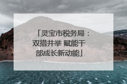 灵宝市税务局：双措并举 赋能干部成长新动能