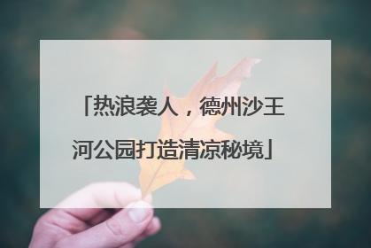 热浪袭人，德州沙王河公园打造清凉秘境