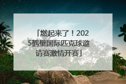 燃起来了！2025鹤壁国际匹克球邀请赛激情开赛