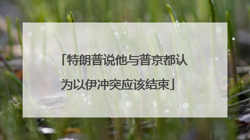 特朗普说他与普京都认为以伊冲突应该结束