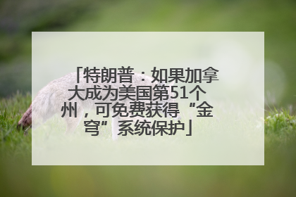 特朗普：如果加拿大成为美国第51个州，可免费获得“金穹”系统保护