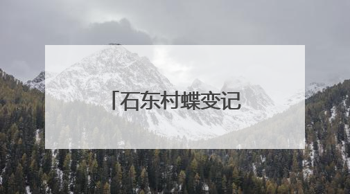 石东村蝶变记：从“穷山沟”到“聚宝盆”的乡村振兴传奇