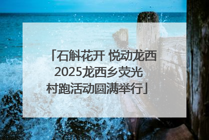 石斛花开 悦动龙西 2025龙西乡荧光村跑活动圆满举行