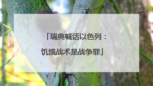 瑞典喊话以色列：饥饿战术是战争罪