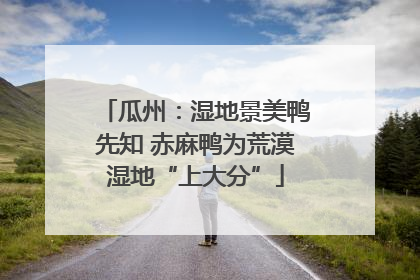 瓜州：湿地景美鸭先知 赤麻鸭为荒漠湿地“上大分”