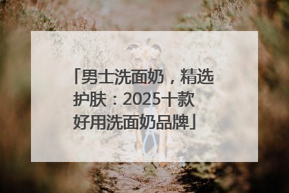 男士洗面奶，精选护肤：2025十款好用洗面奶品牌