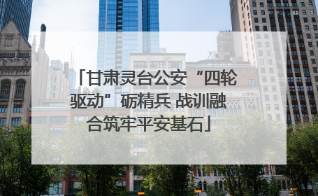 甘肃灵台公安“四轮驱动”砺精兵 战训融合筑牢平安基石