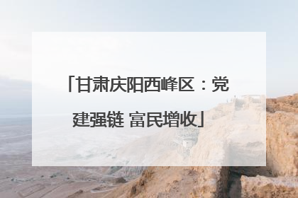 甘肃庆阳西峰区：党建强链 富民增收