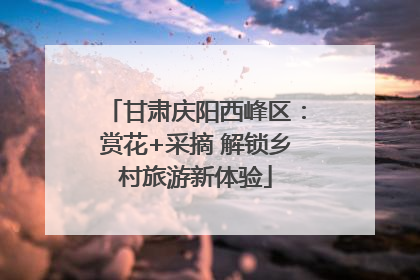 甘肃庆阳西峰区：赏花+采摘 解锁乡村旅游新体验