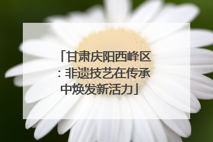 甘肃庆阳西峰区：非遗技艺在传承中焕发新活力