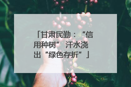 甘肃民勤：“信用种树” 汗水浇出“绿色存折”