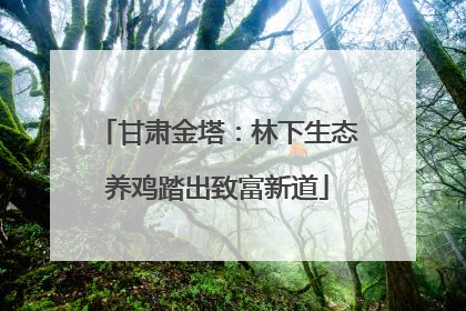 甘肃金塔：林下生态养鸡踏出致富新道