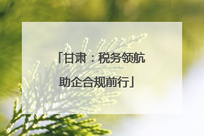 甘肃：税务领航 助企合规前行