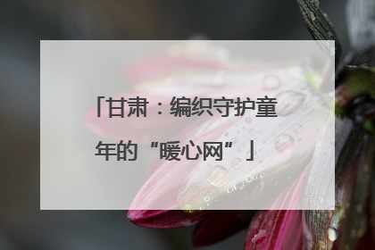 甘肃：编织守护童年的“暖心网”