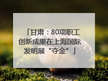 甘肃：80项职工创新成果在上海国际发明展“夺金”