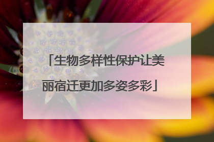 生物多样性保护让美丽宿迁更加多姿多彩