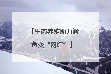 生态养殖助力鳜鱼变“网红”