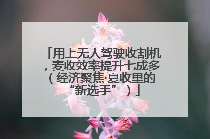 用上无人驾驶收割机，麦收效率提升七成多（经济聚焦·夏收里的“新选手”）