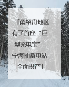 甬绍舟地区有了首座“巨型充电宝” 宁海抽蓄电站全面投产