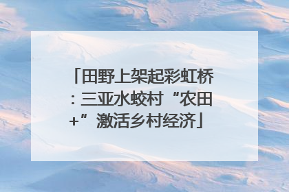 田野上架起彩虹桥：三亚水蛟村“农田+”激活乡村经济