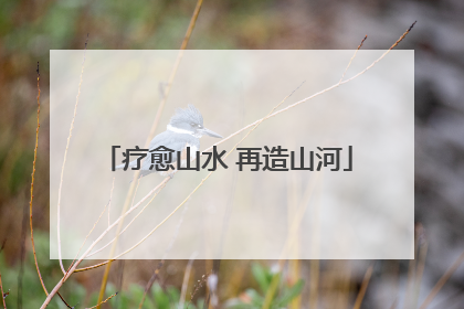 疗愈山水 再造山河