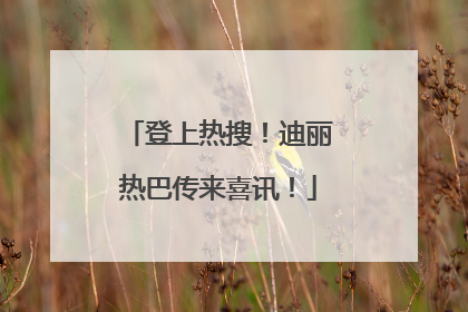 登上热搜！迪丽热巴传来喜讯！