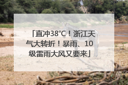 直冲38℃！浙江天气大转折！暴雨、10级雷雨大风又要来