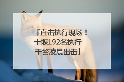 直击执行现场！十堰192名执行干警凌晨出击