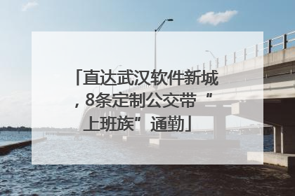 直达武汉软件新城，8条定制公交带“上班族”通勤