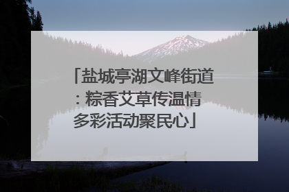 盐城亭湖文峰街道：粽香艾草传温情 多彩活动聚民心