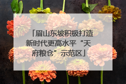 眉山东坡积极打造新时代更高水平“天府粮仓”示范区