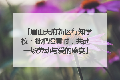眉山天府新区行知学校：枇杷橙黄时，共赴一场劳动与爱的盛宴