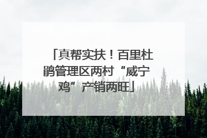 真帮实扶！百里杜鹃管理区两村“威宁鸡”产销两旺