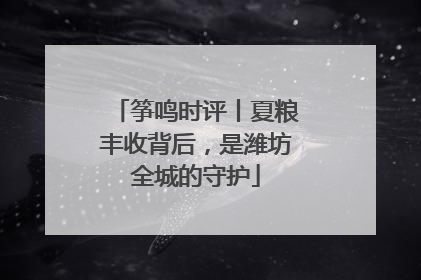 筝鸣时评丨夏粮丰收背后，是潍坊全城的守护