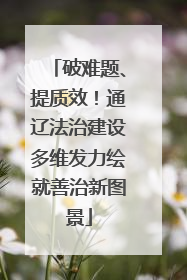 破难题、提质效！通辽法治建设多维发力绘就善治新图景