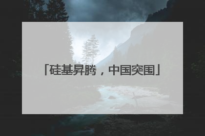 硅基昇腾，中国突围