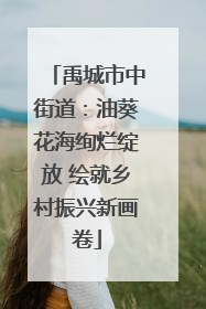 禹城市中街道：油葵花海绚烂绽放 绘就乡村振兴新画卷